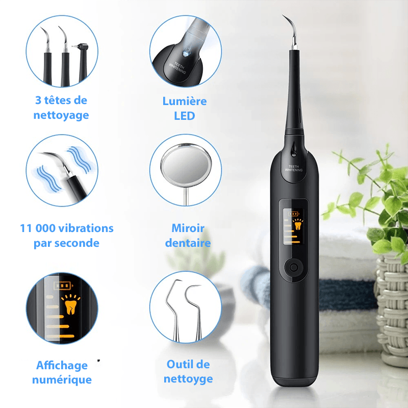 Détartreur dentaire électrique ultrasons IPX6 5 niveaux USB
