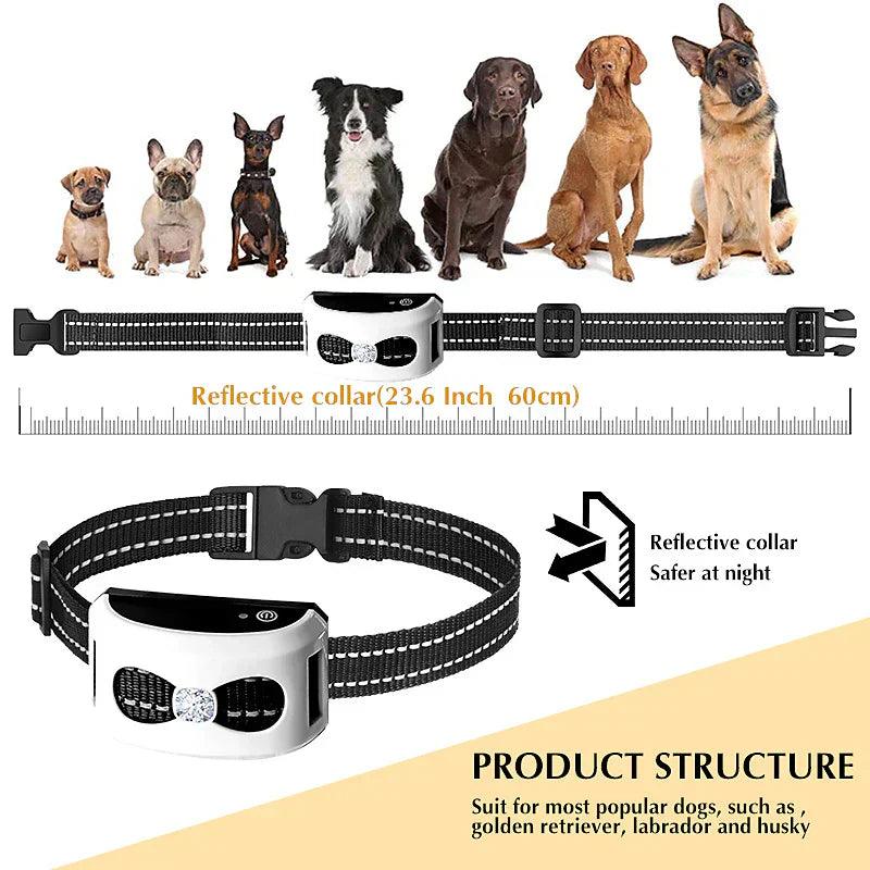 Clôture sans fil chien collier récepteur IP65 USB portée 300 m